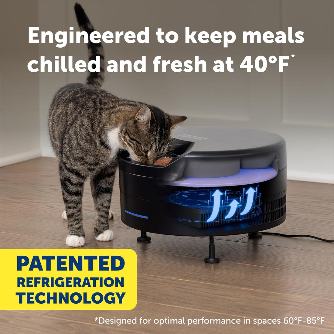 PetSafe FreshFeed Refrigerated Pet Feeder Automatic Wet Food Feeder