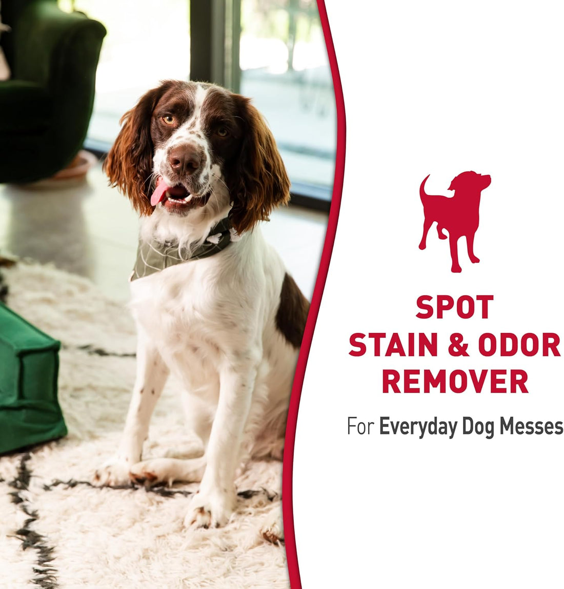 Nature’s Miracle Stain and Odor Remover Dog, 32 Ounces