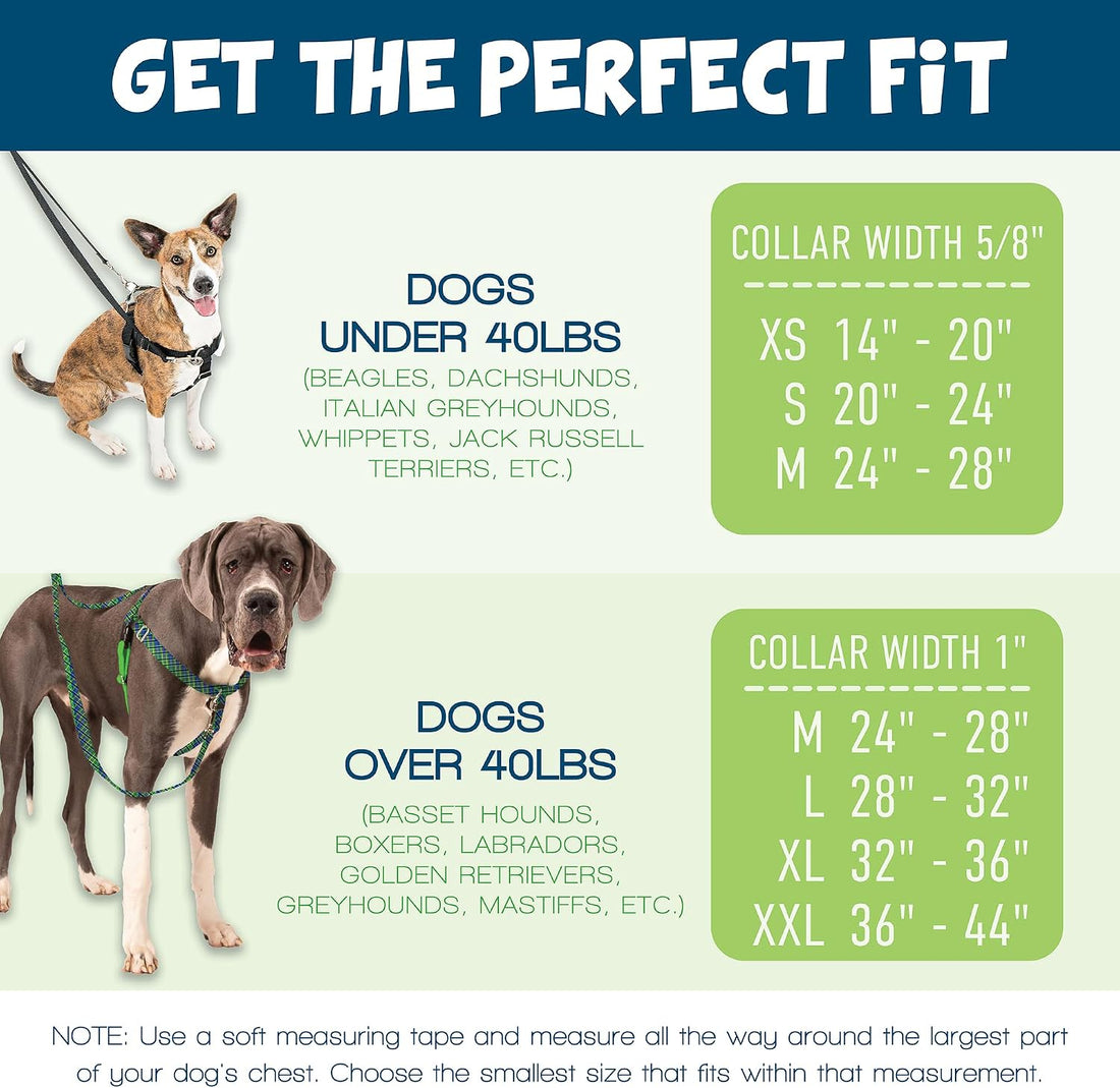2 Hounds Design Freedom No Pull Dog Harness and Leash, 1" LG