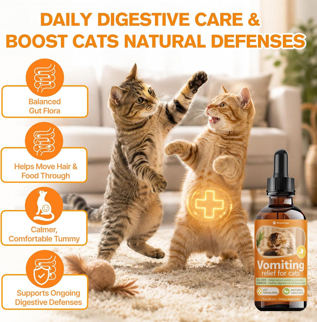 Cat Vomit Remedy, Targeted Treatment for Stomach Upset