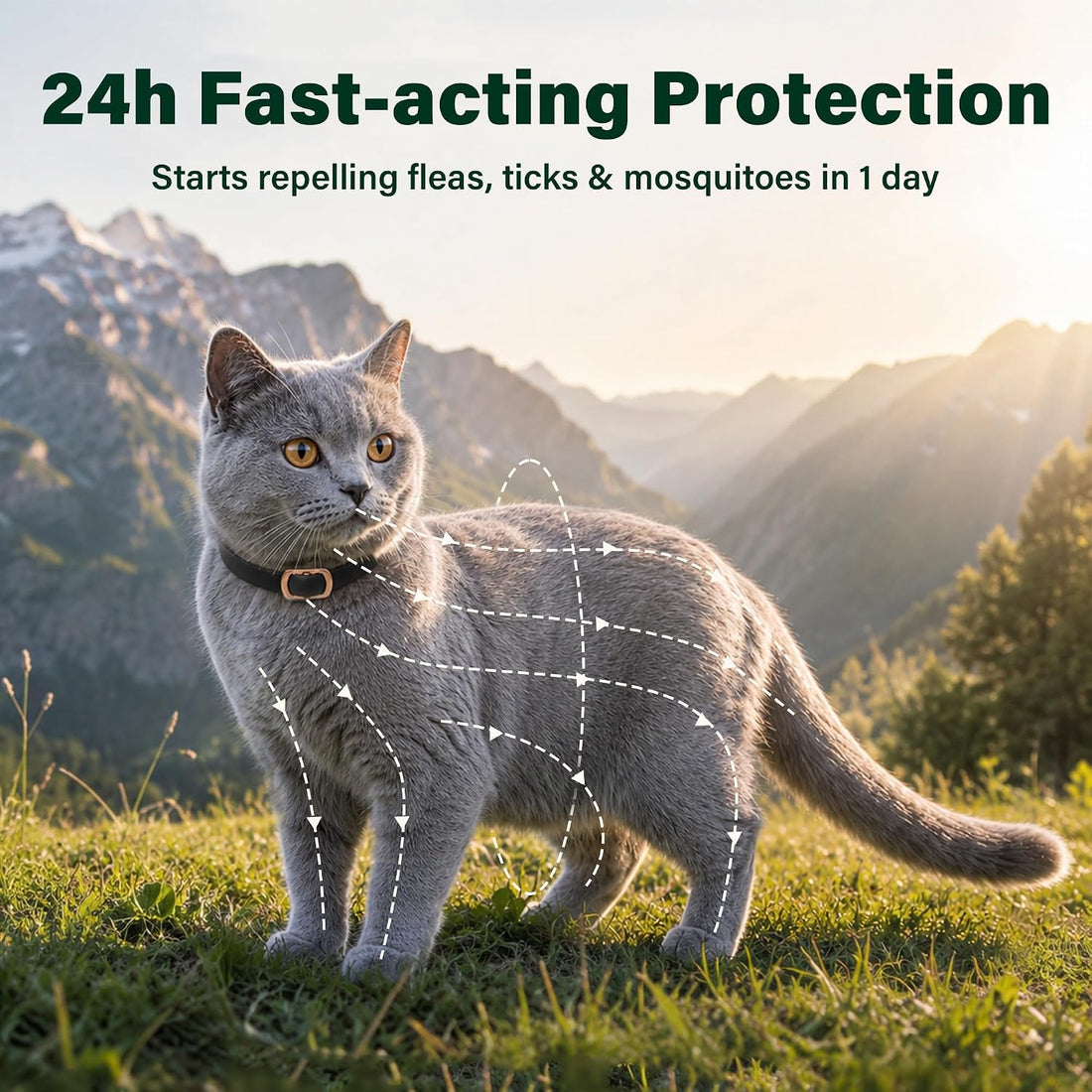 6 Packs Flea and Tick Collar for Cats