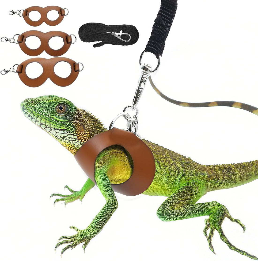 Bearded Dragon Harness and Leash Set