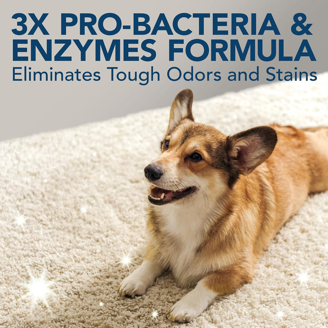 Simple Solution Extreme Stain & Odor Remover, Enzyme Stain Cleaner