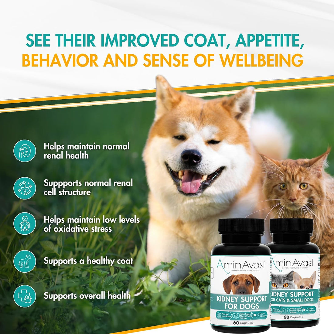AminAvast 300mg Kidney Support for Cats & Small Dogs