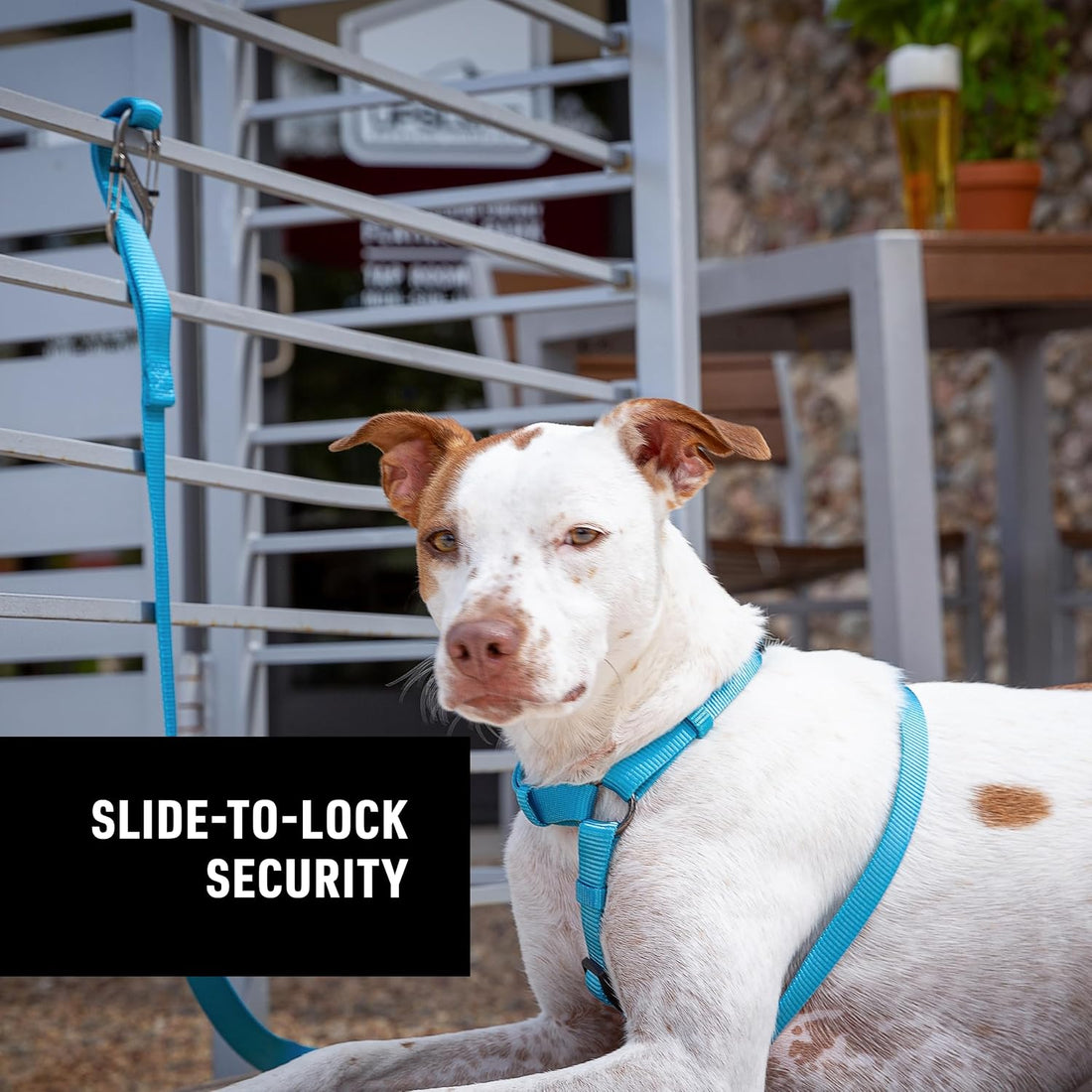 Nite Ize SlideLock Pet S-Biner