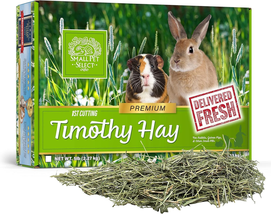 Small Pet Select 1st Cutting Timothy Hay for Rabbits & Guinea Pigs
