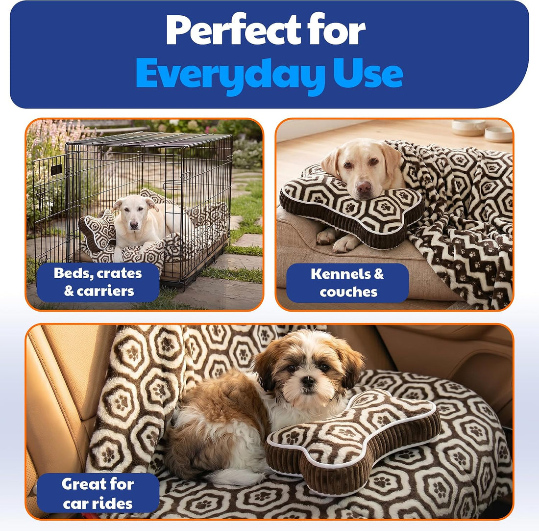 American Kennel Club 60''x50'' Pet Blanket & 10'' Pillow Set