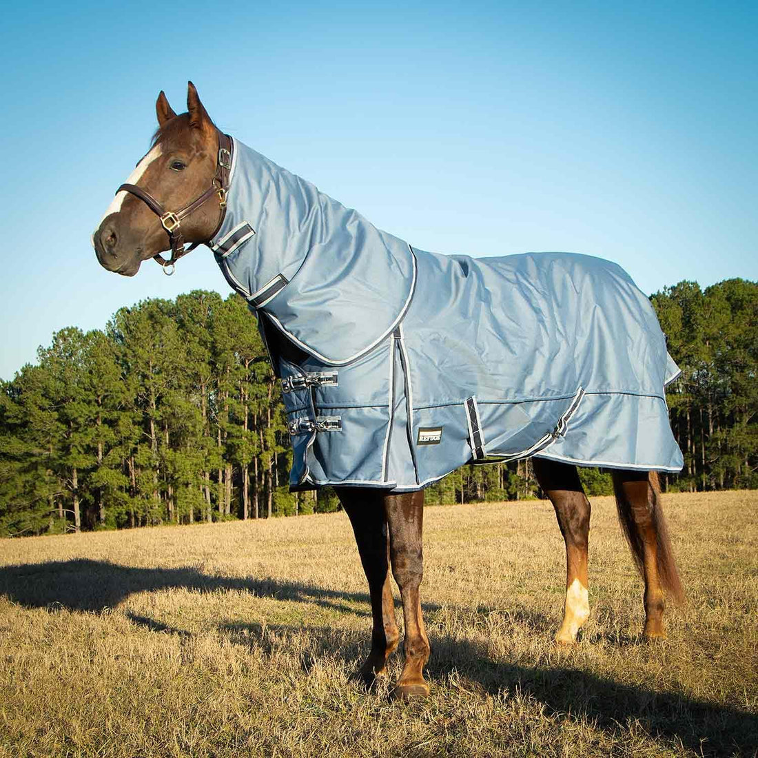 Jeffers Poplar Head Refuge 1200D Waterproof Horse Turnout Blanket