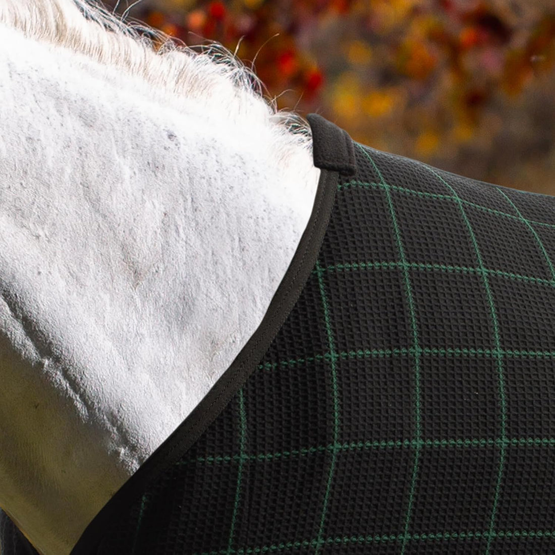 Equinavia Luftig Waffle Horse Cooler Blanket, Cotton, Moisture Wicking