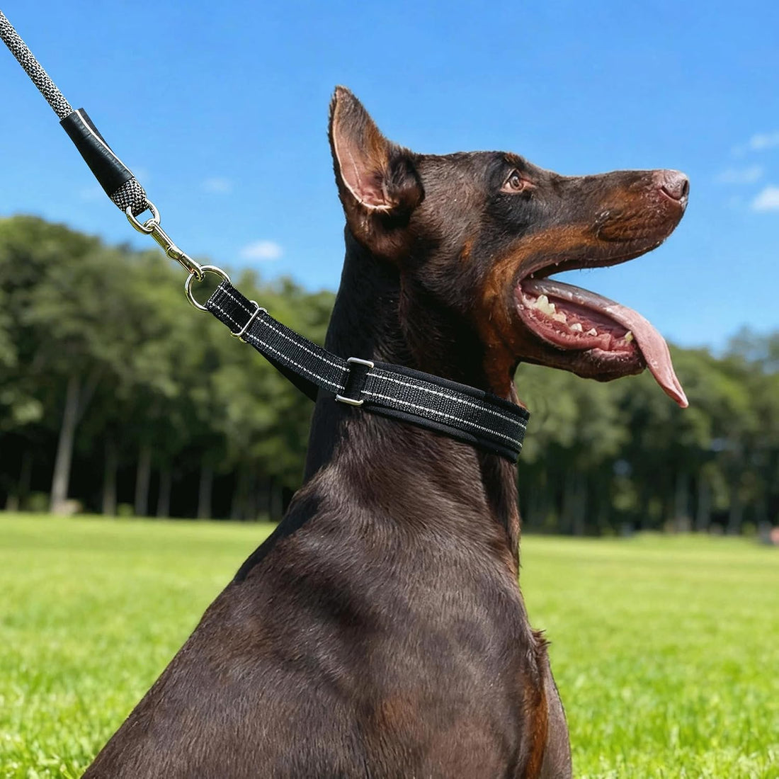 Hidden Prong Collar, Adjustable Martingale Design, M