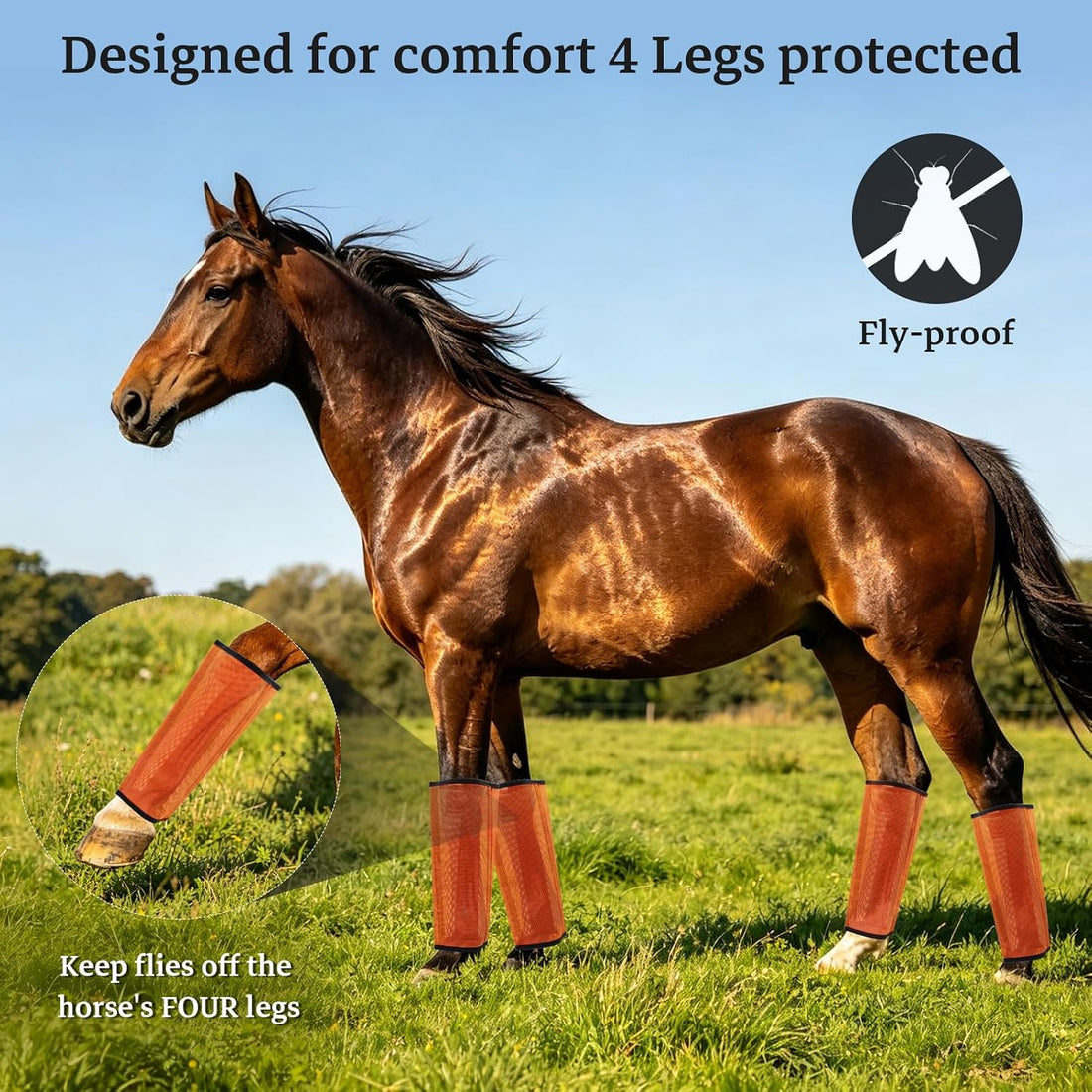 Mesh Horse Fly Boots, Set of 4