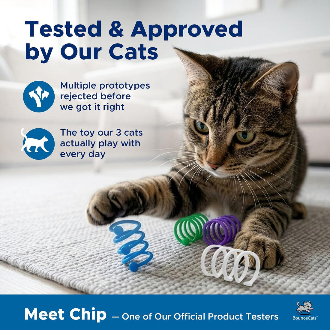4 Pack Cat Spring Toys for Indoor Cats and Kittens, Made in USA