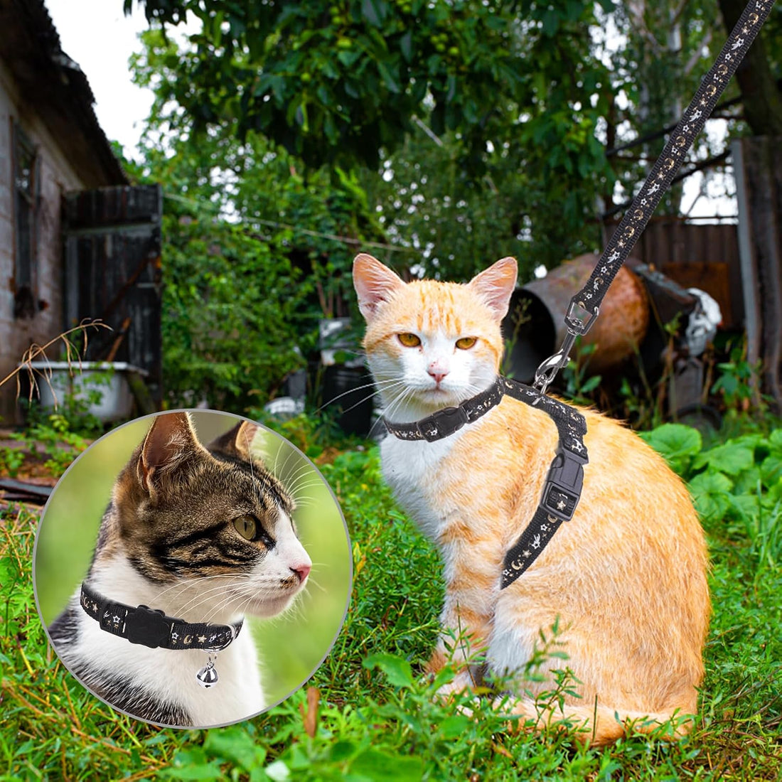PAWCHIE Cat Harness with Leash and Collar Set