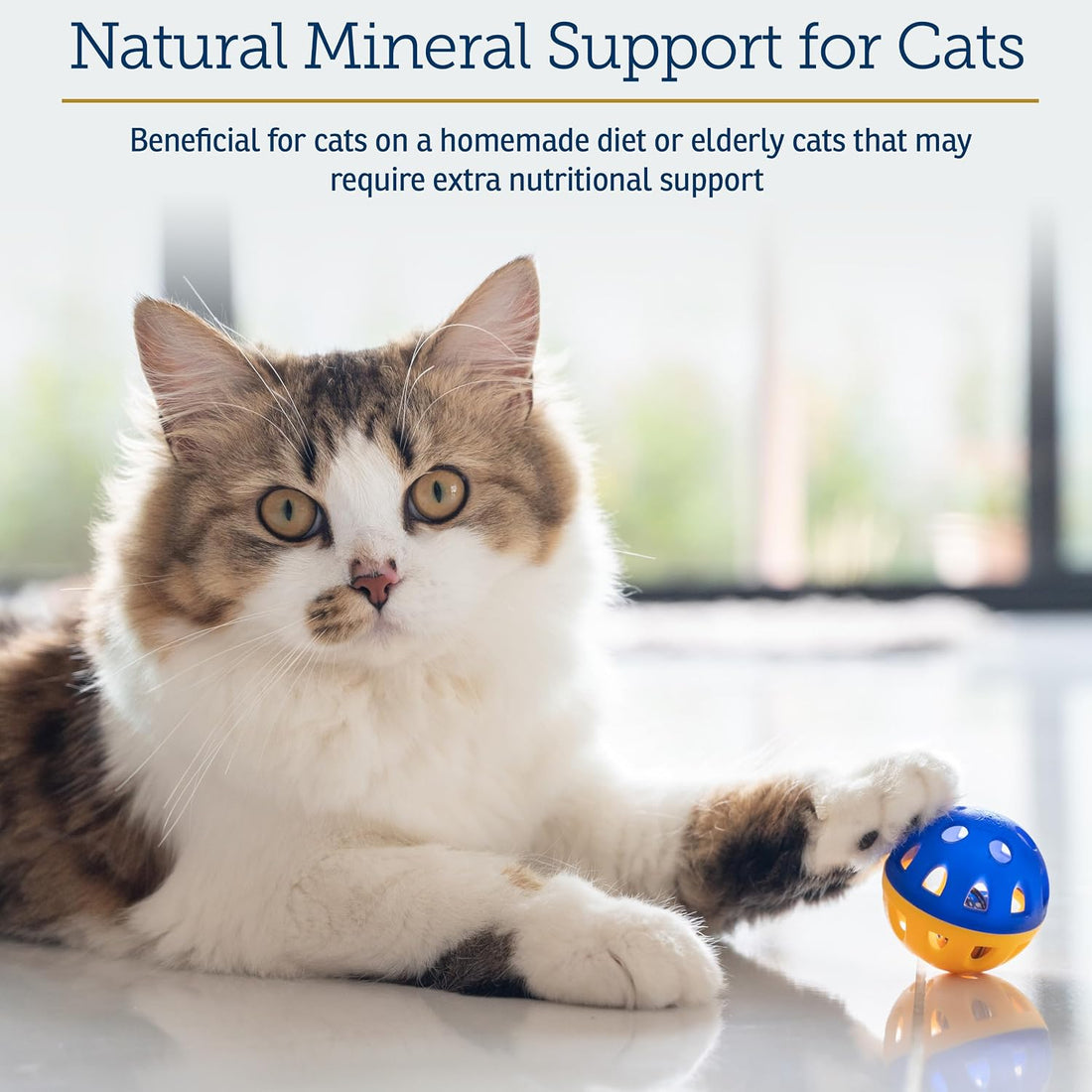 Rx Vitamins Feline Minerals - Taurine for Cat Heart Health
