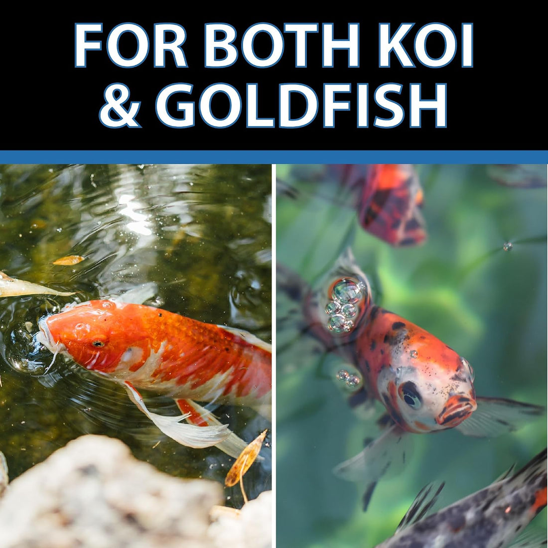 CrystalClear Staple Pond Fish Food for Koi & Goldfish, 2.2 Pound Bag