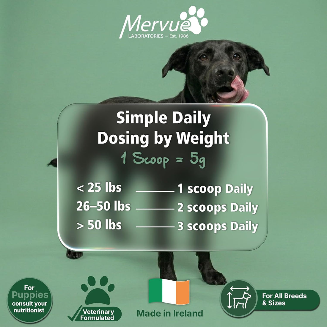 Mervue Muscle Builder for Dogs - L-Carnitine, BCAAs