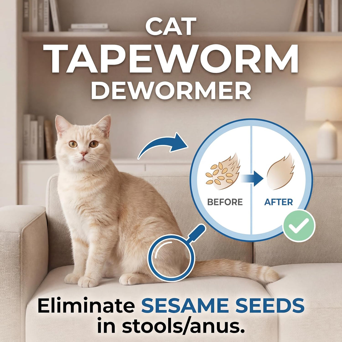 Tapeworm Treatment for Cats & Kittens, Praziquantel Liquid