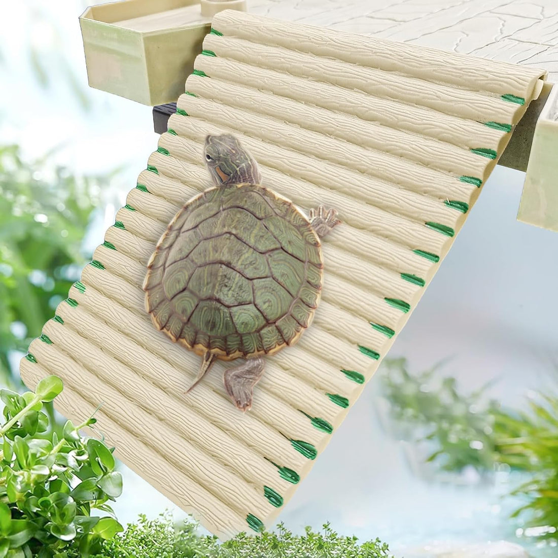 Large Turtle Floating Basking Platform with Feeding Area