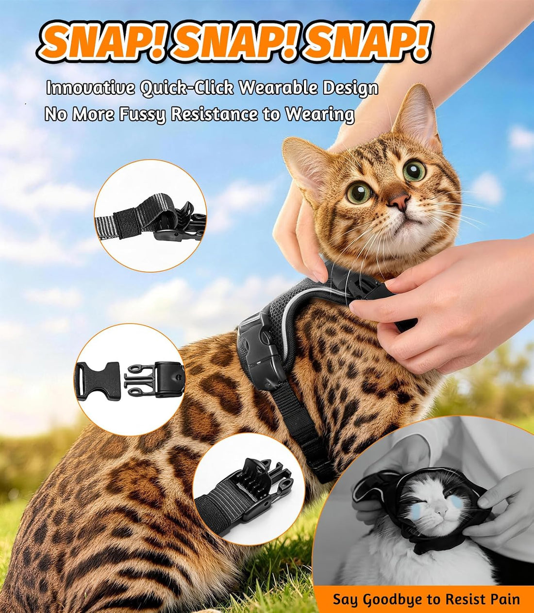 Cat Harness and Leash for Walking