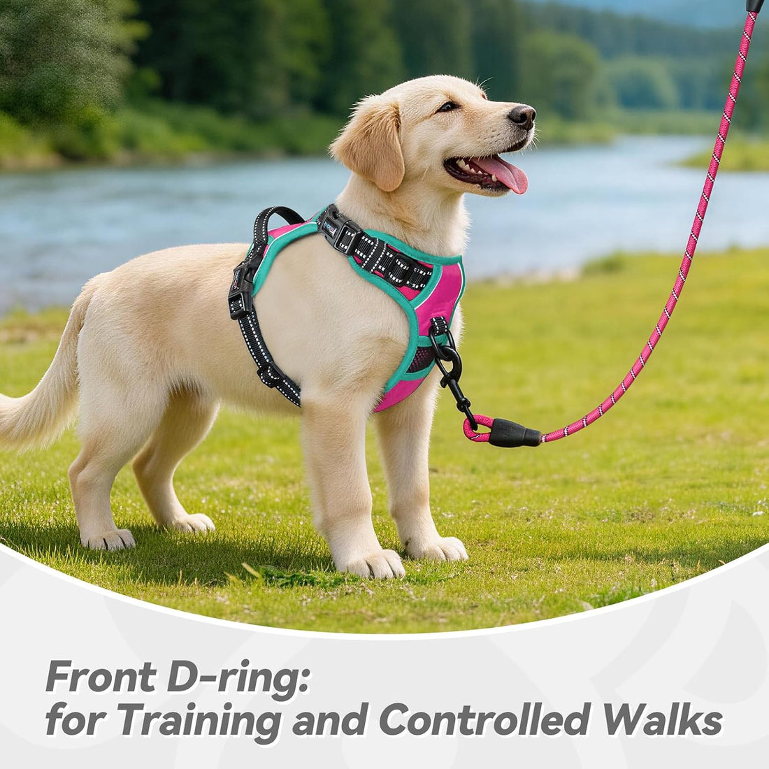 PHOEPET 2019 Upgraded No Pull Dog Harness, Reflective Adjustable Vest