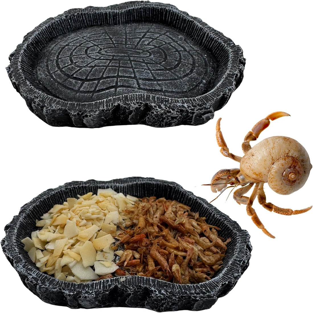 2 Pack Shallow Reptile Food Bowls