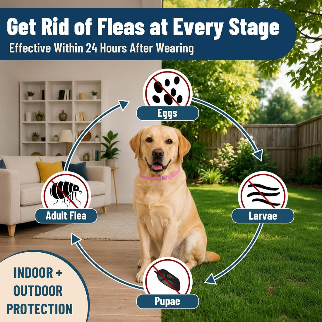4 Pack Flea Collar for Dogs, 32 Months Flea and Tick Prevention