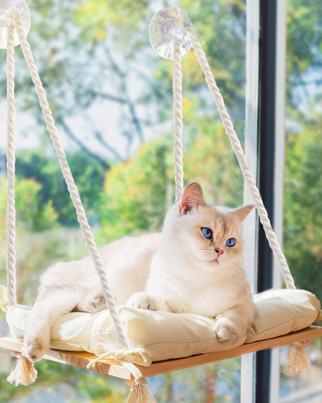 Cat Window Perch with Industrial-Grade Suction Cups