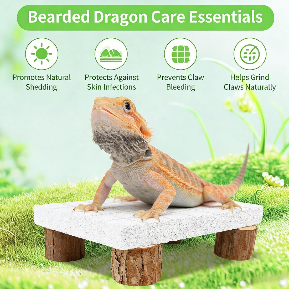Bearded Dragon Tank Accessories Shedding Rock Reptile Basking Platform