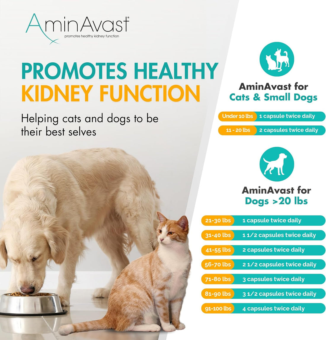 AminAvast 1000 mg Kidney Support for Dogs, 2 Bottles