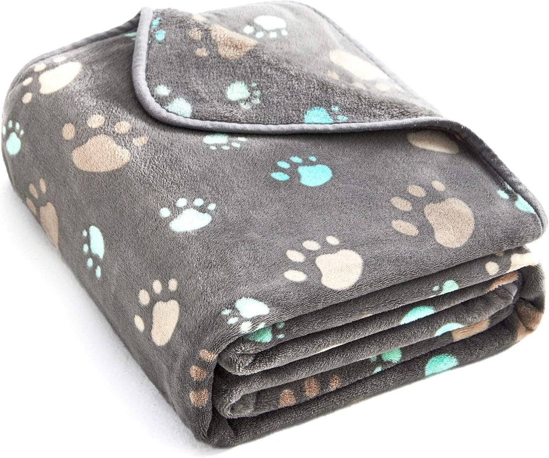 Allisandro 350 GSM Super Soft and Premium Fuzzy Flannel Fleece Pet