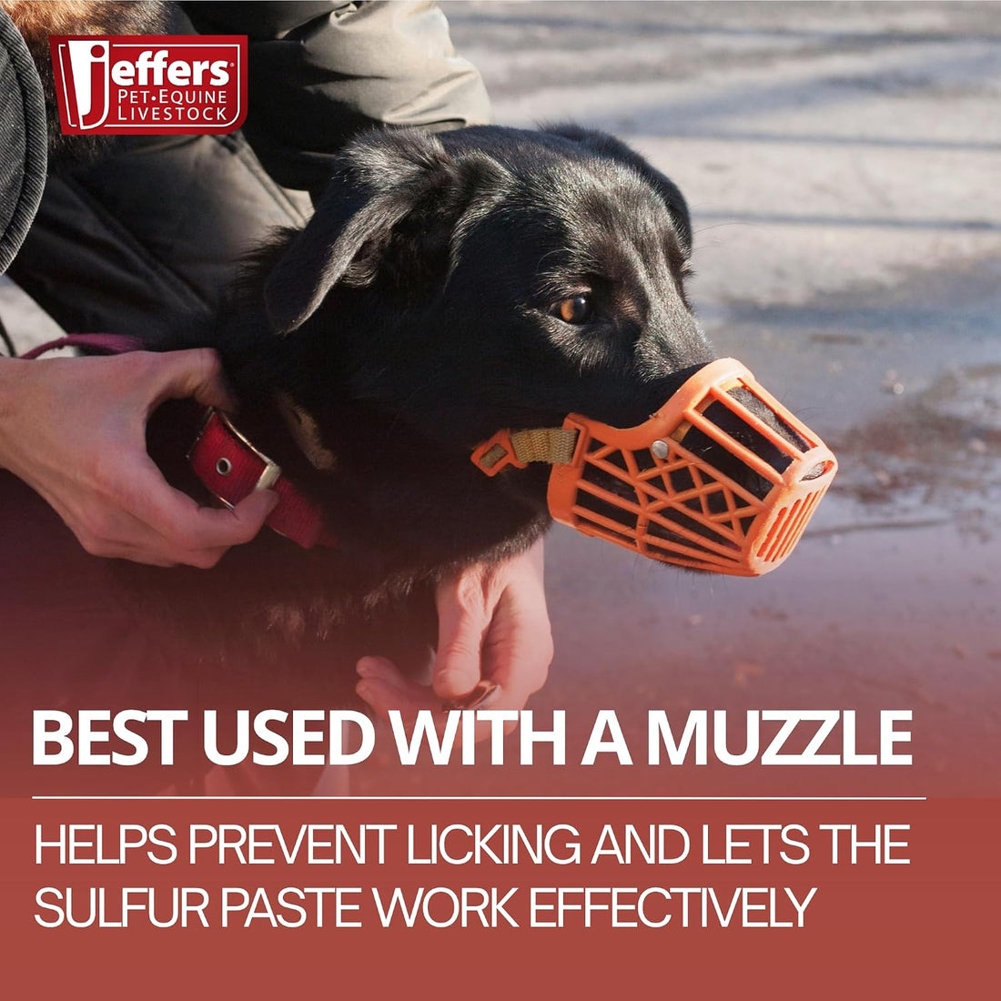Jeffers Super Sulfur Natural Healing Paste for Dogs