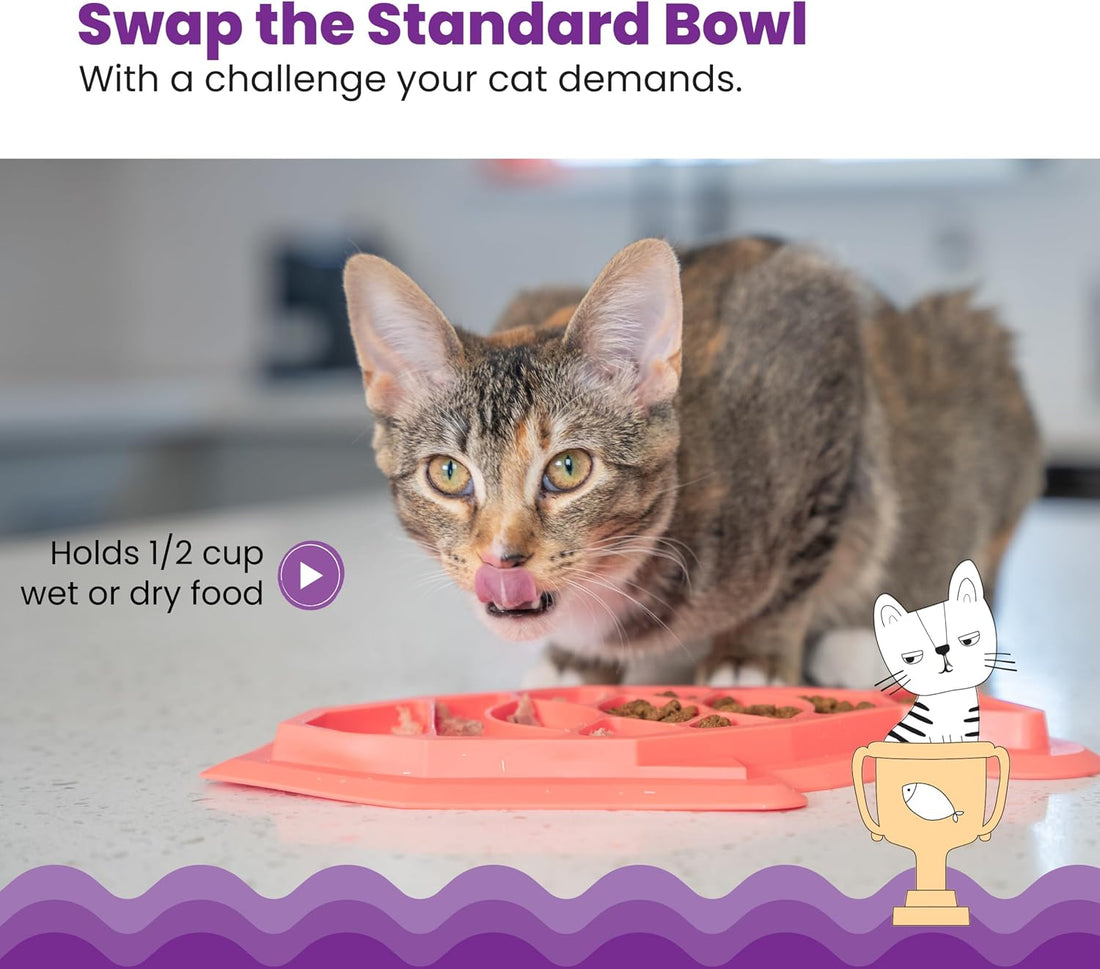 Catstages Kitty Slow Feeder Bowl for Cats & Kittens, 3/4 Cup, Blue, 5"