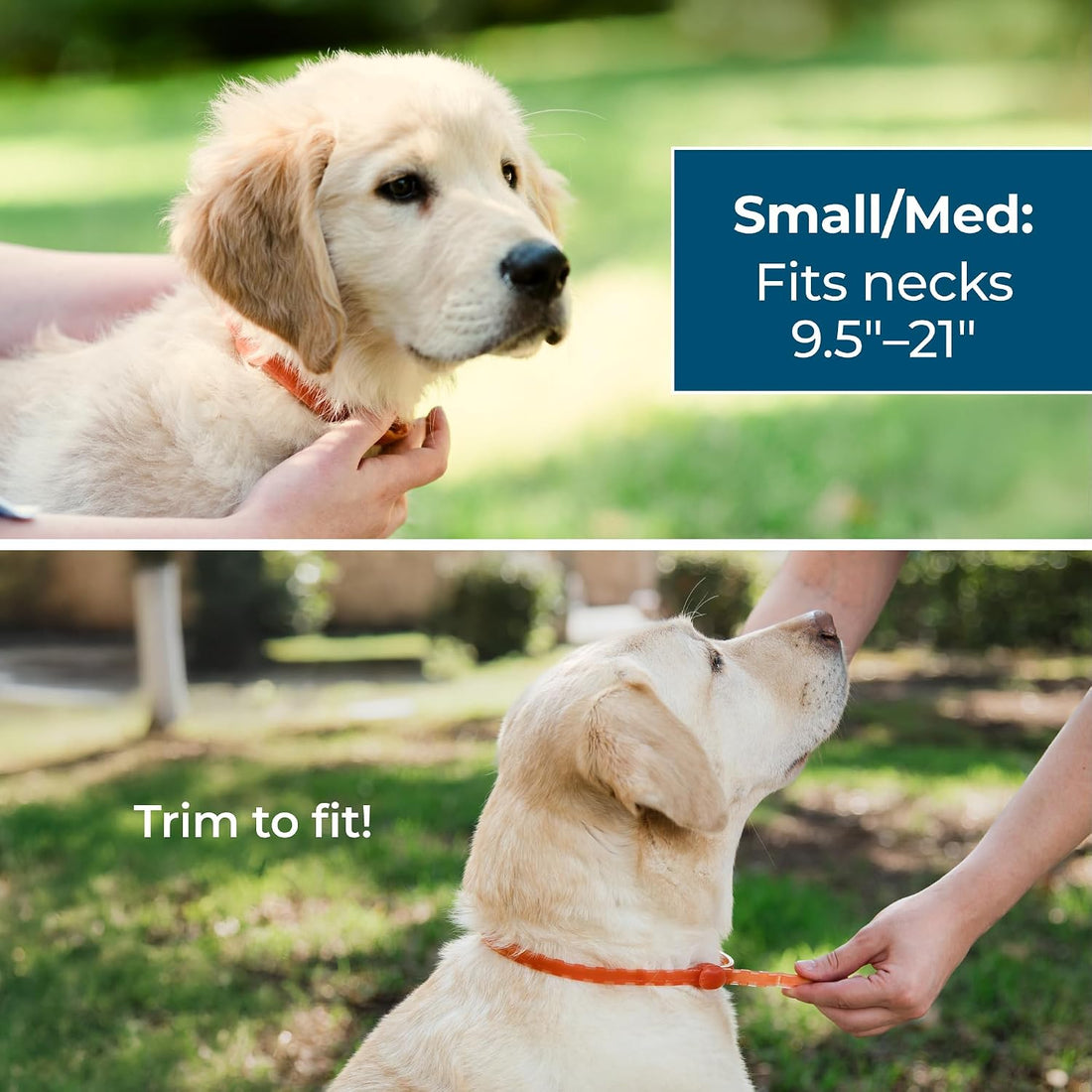 Wondercide Dog Collar - with Natural Essential Oils