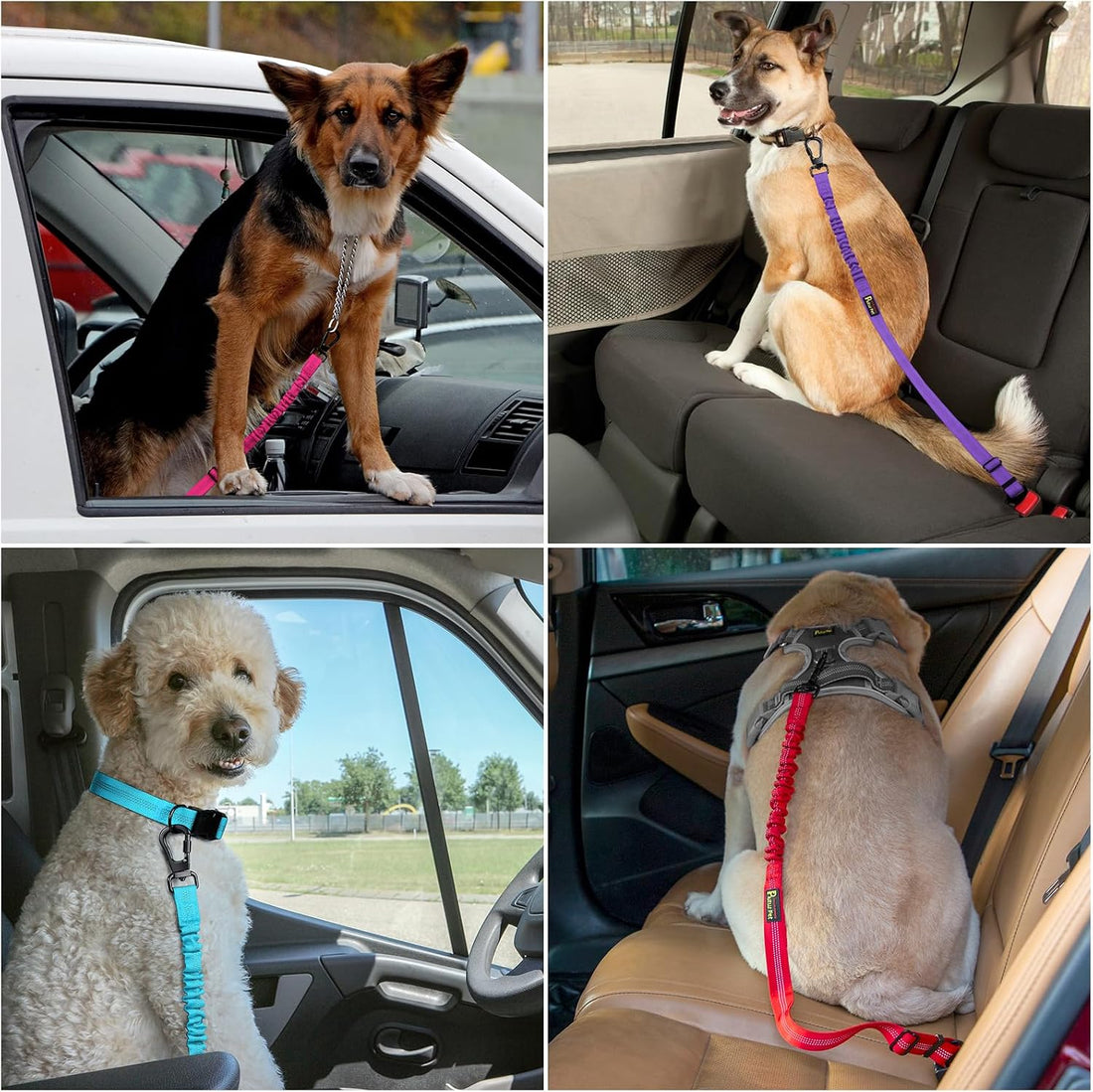 Plutus Pet Dog Seat Belt for Car