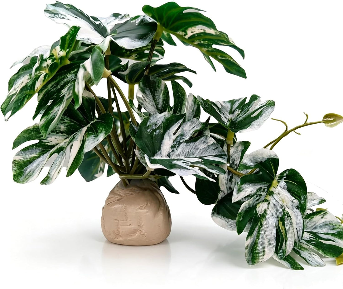 Reptile Plants for Terrarium Decor,Leopard Gecko Tank Plants