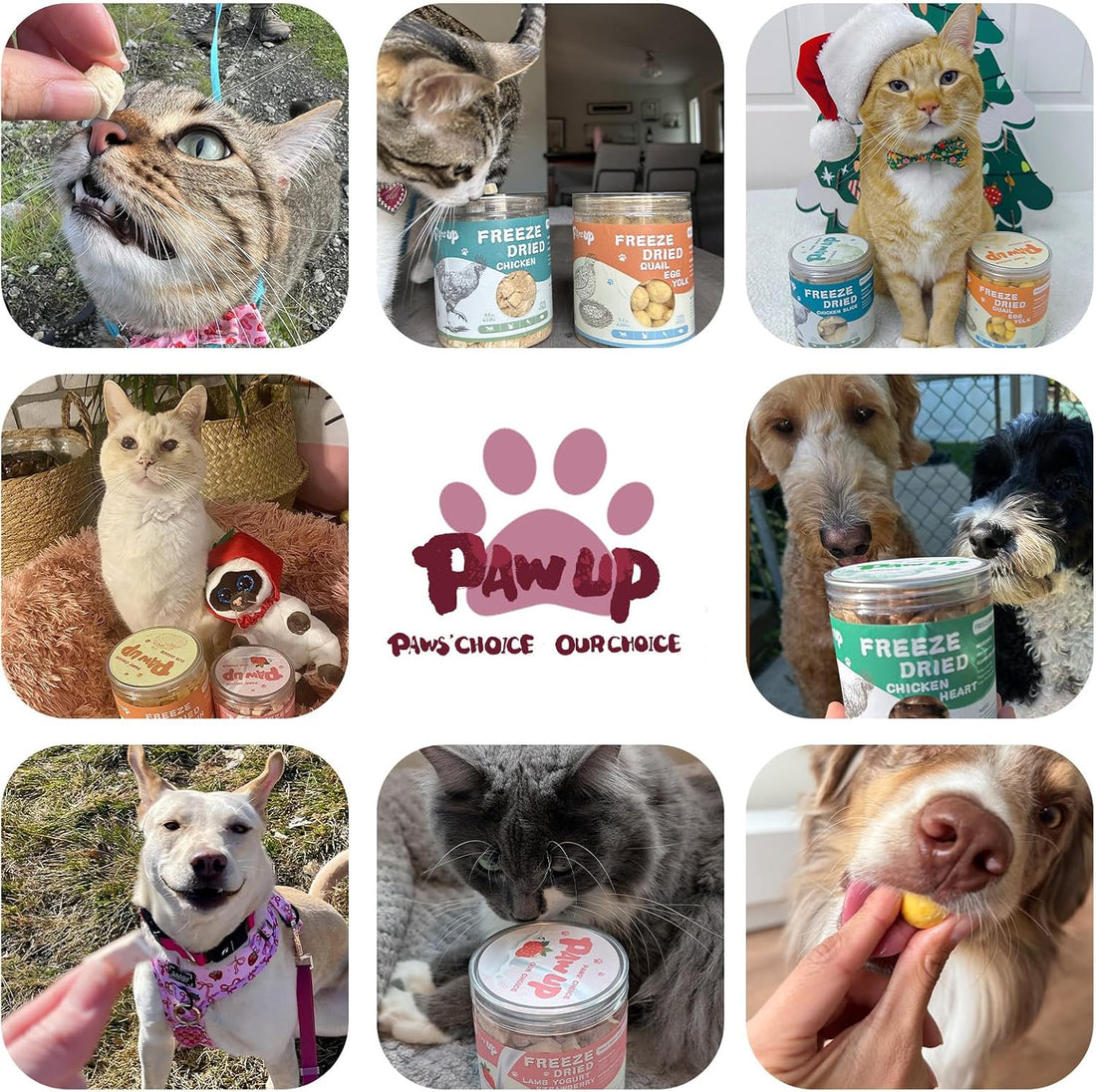 PAWUP Freeze-Dried Duck Treats for Cats & Dogs