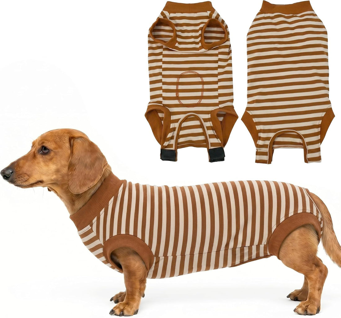 Dog Surgery Recovery Suit Spay Recovery Onesie for Female Male Dogs