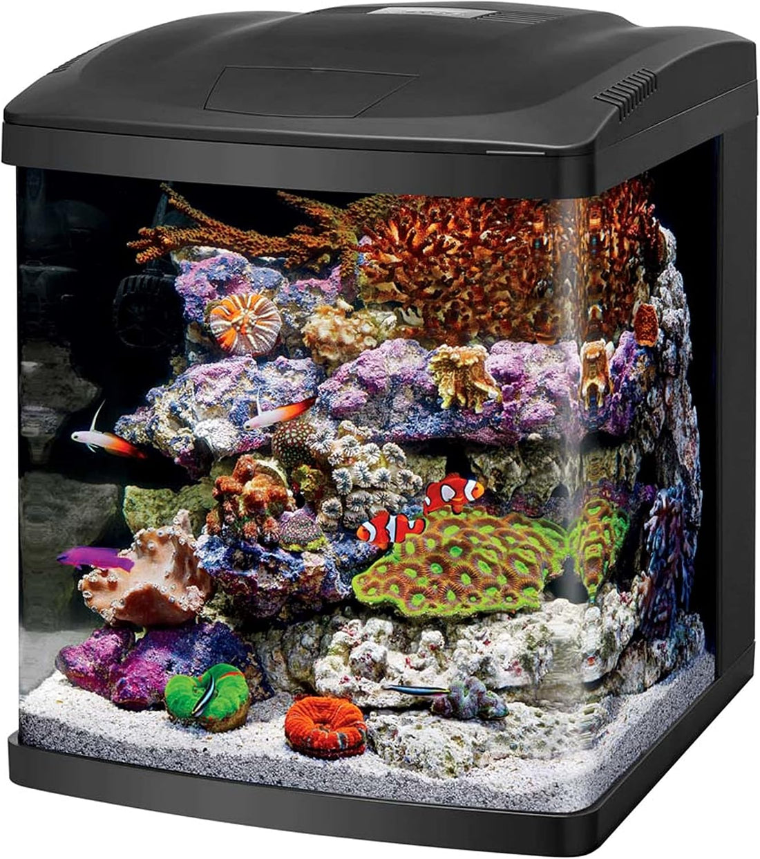 Coralife LED Biocube Aquarium Starter Kit