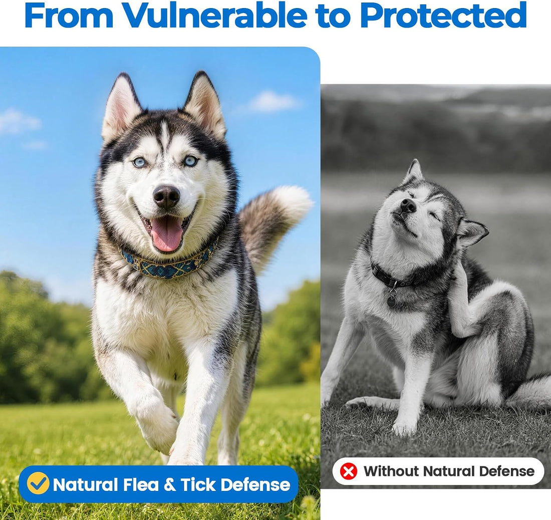 Flea and Tick Soft Chews for Dogs, 120 Count