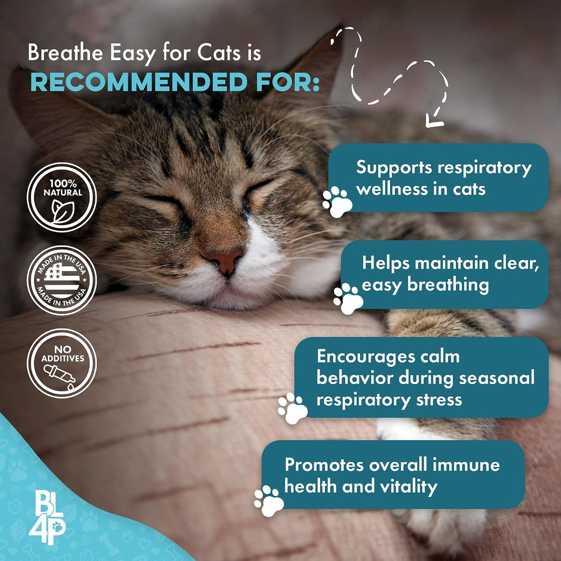 BestLife4Pets Cat Respiratory Comfort Supplement - 400 Pills