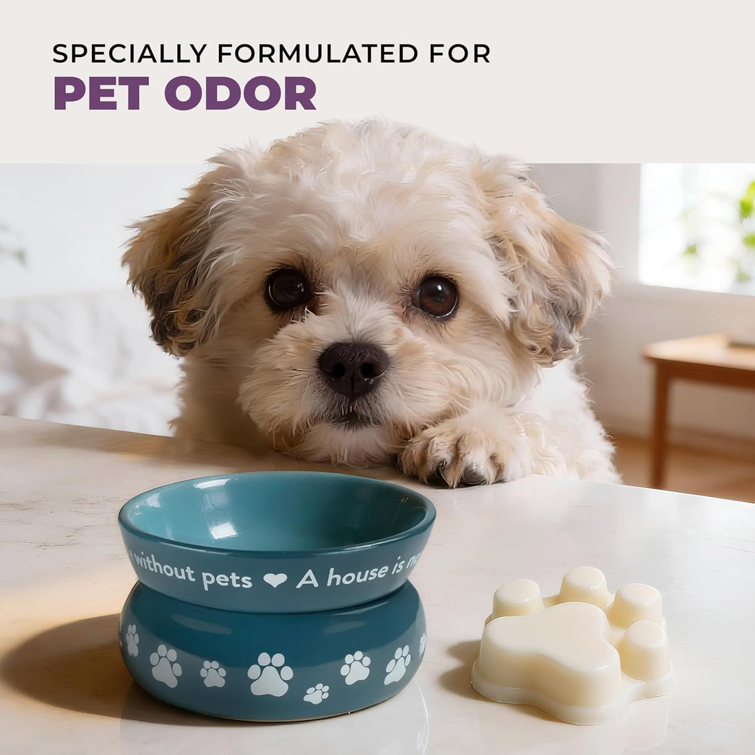 Winter Fig Scented Wax Melts Plant-Based Wax, 2 Pack Pet House