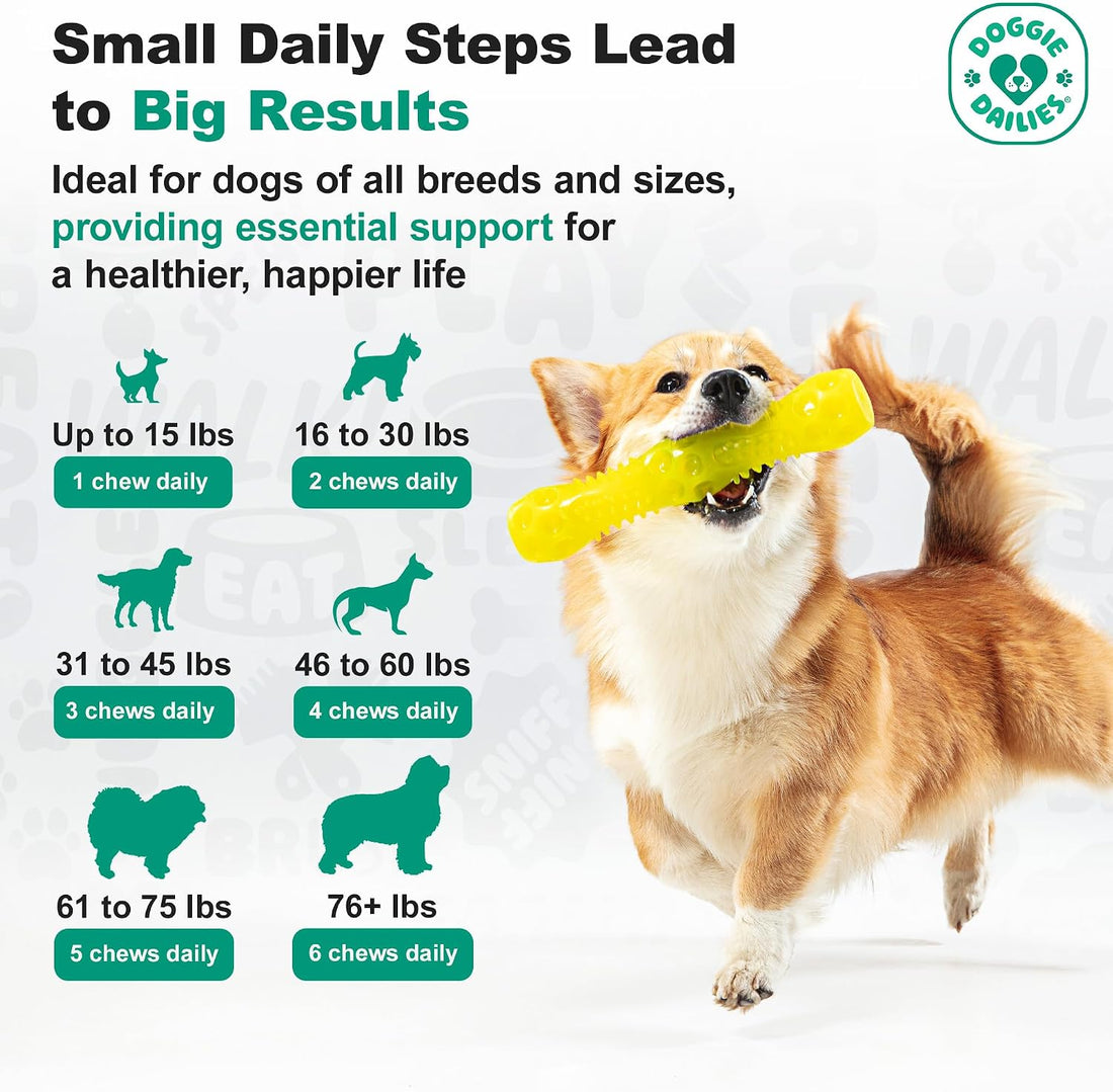 Doggie Dailies, Hip and Joint Supplement for Dogs