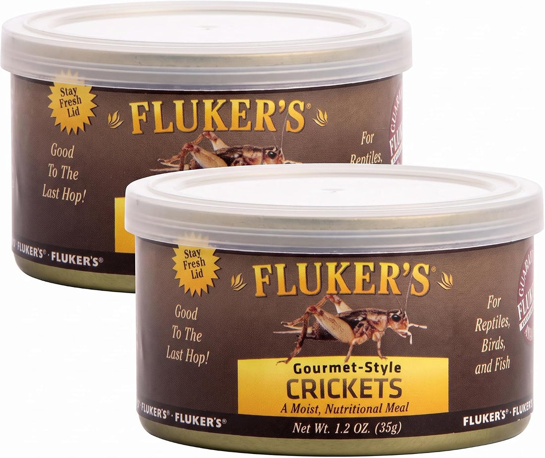 Fluker's Gourmet Mealworms, Canned Food for Reptiles, Fish