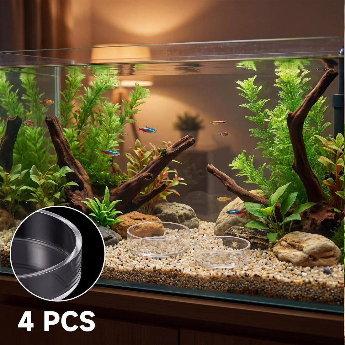 4 Pcs Shrimp Feeding Dish, Fish Tank Feeder 65mm and 85mm