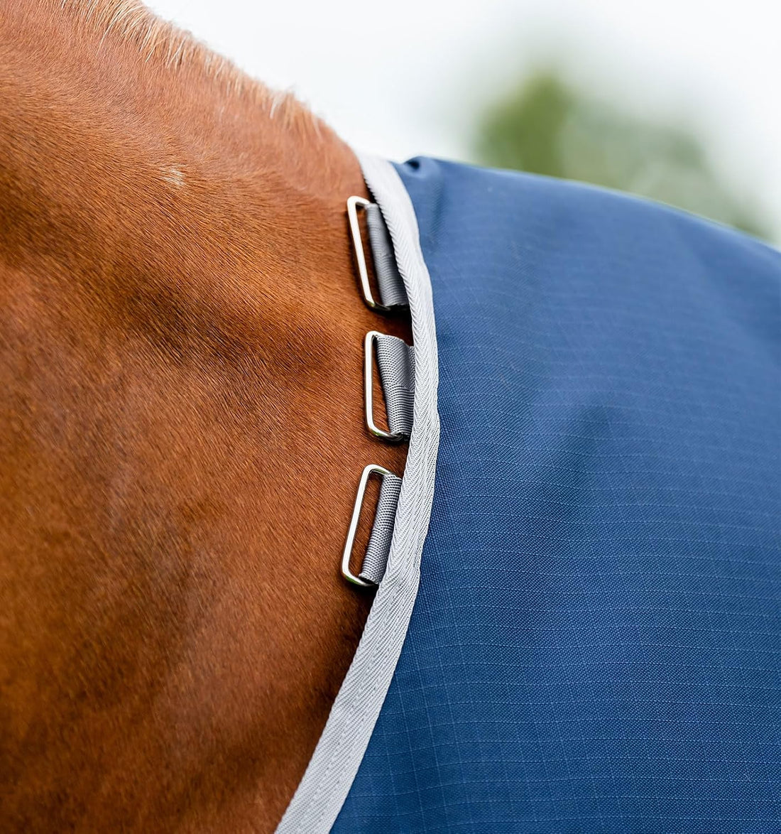 Horseware® Amigo® Ripstop 900D Plus Turnout 100g