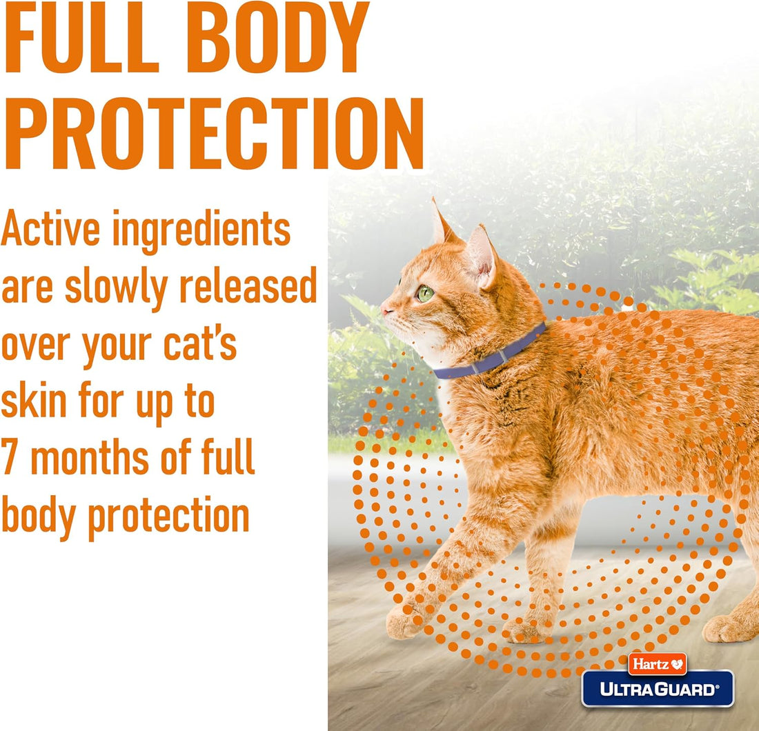 Hartz UltraGuard Purple Flea & Tick Collar for Cats and Kittens