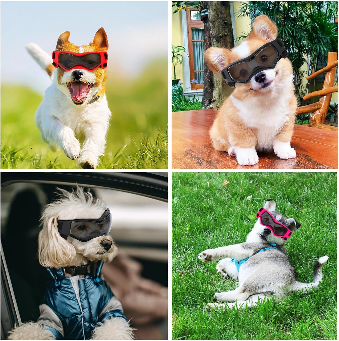 Kagoty Small Dog Goggles Small Breed