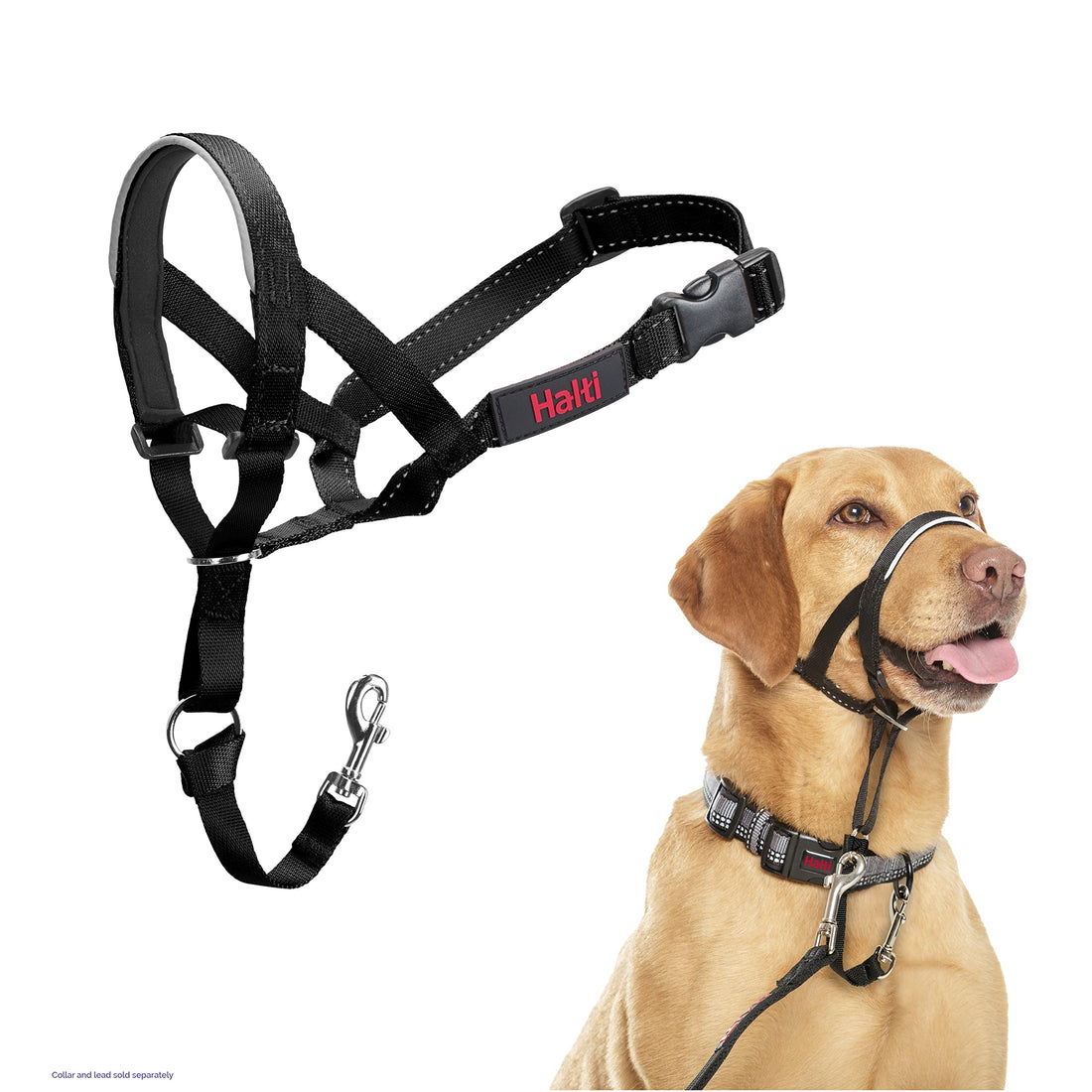 Halti Headcollar - Stop Your Dog Pulling on the Leash. Adjustable