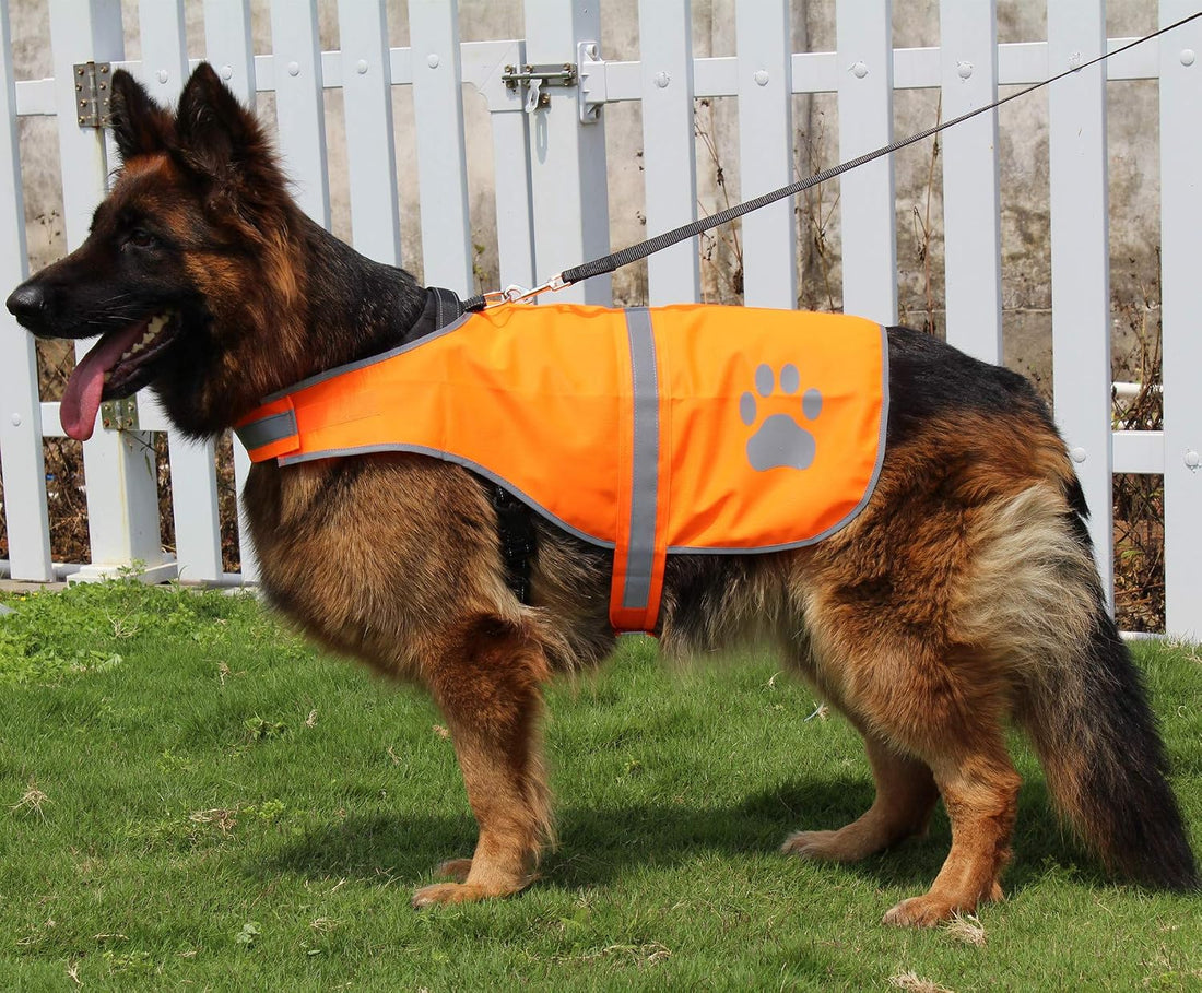 Dog Reflective Vest High Visibility Safety Jacket