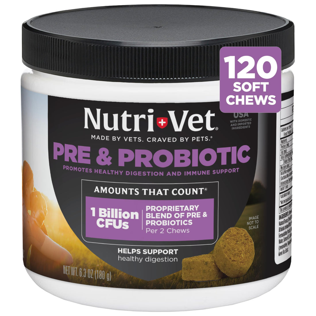 Nutri-Vet Pre & Probiotics for Dogs, Digestive Support, Upset Stomach